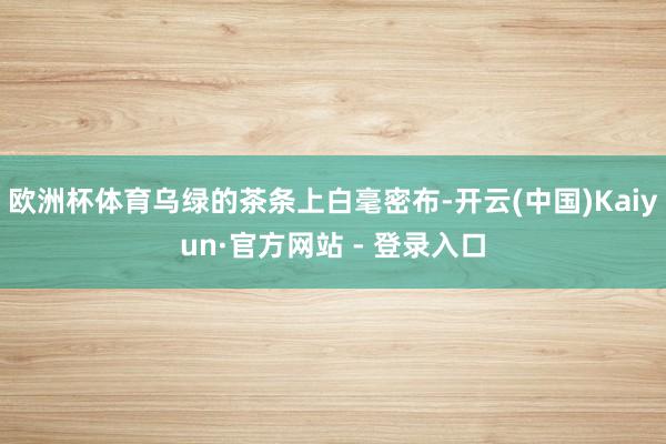 欧洲杯体育乌绿的茶条上白毫密布-开云(中国)Kaiyun·官方网站 - 登录入口