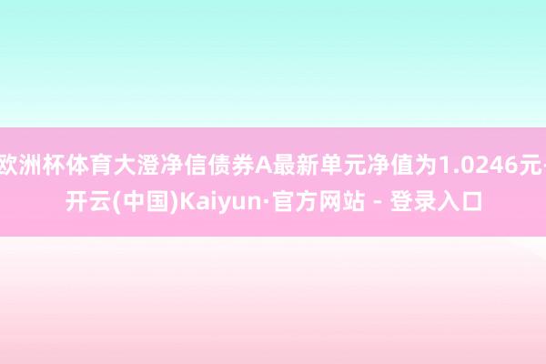 欧洲杯体育大澄净信债券A最新单元净值为1.0246元-开云(中国)Kaiyun·官方网站 - 登录入口