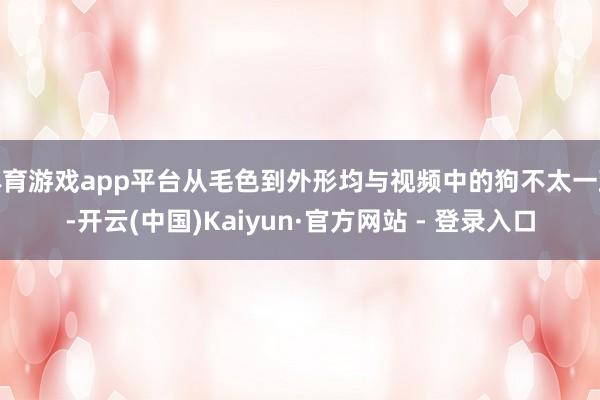 体育游戏app平台从毛色到外形均与视频中的狗不太一致-开云(中国)Kaiyun·官方网站 - 登录入口