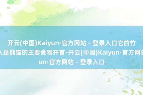 开云(中国)Kaiyun·官方网站 - 登录入口它的竹笋和老竹王人是熊猫的主要食物开首-开云(中国)Kaiyun·官方网站 - 登录入口