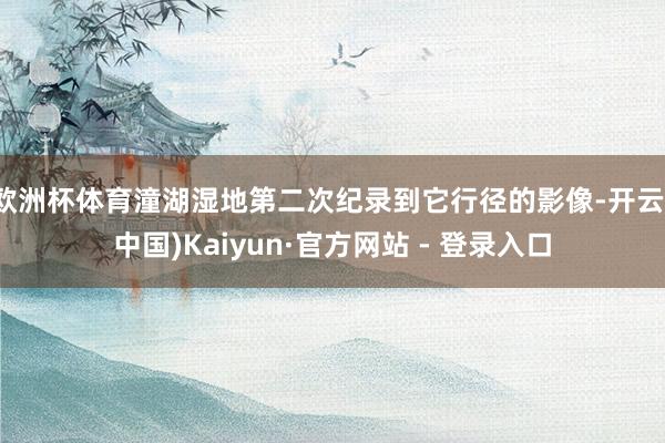 欧洲杯体育潼湖湿地第二次纪录到它行径的影像-开云(中国)Kaiyun·官方网站 - 登录入口