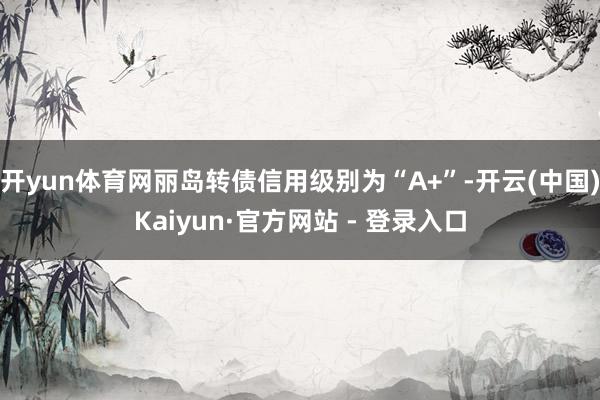 开yun体育网丽岛转债信用级别为“A+”-开云(中国)Kaiyun·官方网站 - 登录入口