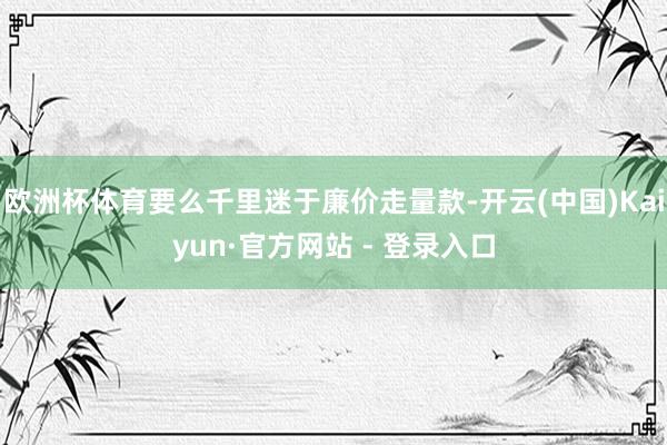 欧洲杯体育要么千里迷于廉价走量款-开云(中国)Kaiyun·官方网站 - 登录入口