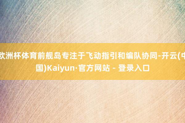 欧洲杯体育前舰岛专注于飞动指引和编队协同-开云(中国)Kaiyun·官方网站 - 登录入口